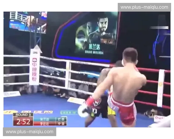 铁拳掠影与回旋踢的宿命：当“草原雄鹰”巴特尔撞上“散打之王”穆斯里穆